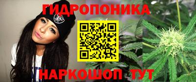 таблы Будённовск