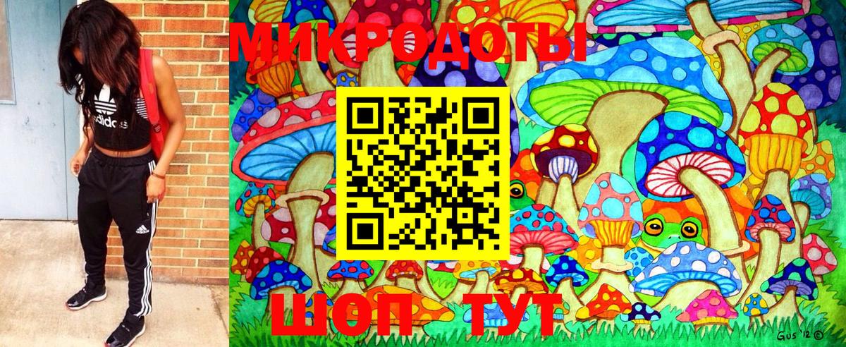 закладки  Галлюциногенные грибы MAGIC MUSHROOMS  Вход с VPN  Полысаево 